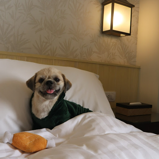 Pet-friendly park in BGC
