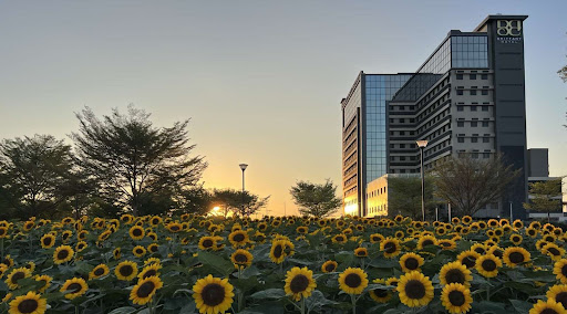 An elegant exterior view of a luxury hotel at twilight, with warm lights and a welcoming atmosphere. The architecture is sophisticated. No people. 3:2 aspect ratio.