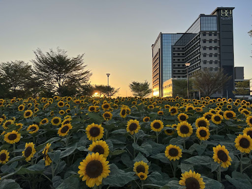 Brittany Hotel Villar City